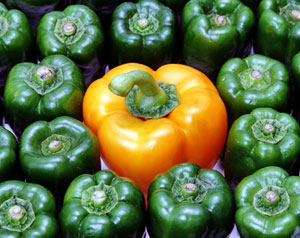yellow-and-green-peppers.jpg