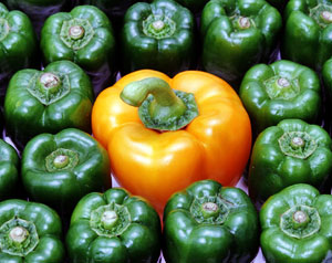 yellow-and-green-peppers.jpg